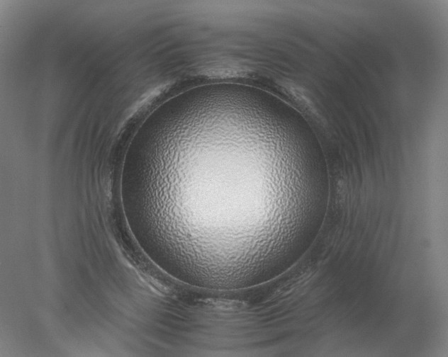 X0000077990539200611101731