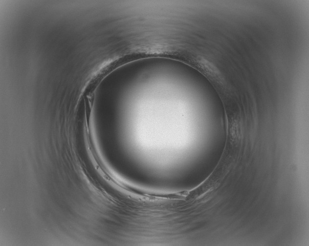 X0000077990540200611101731