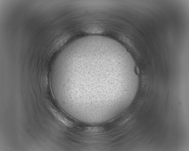 X0000077990541200611101731