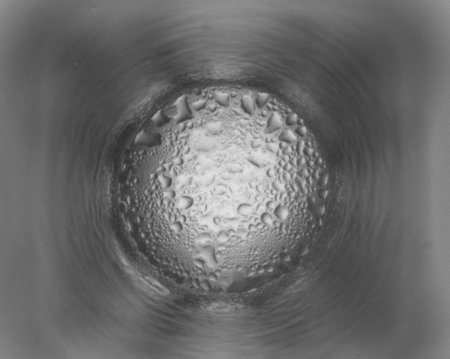 X0000077990542200611101731