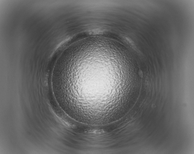 X0000077990543200611101731