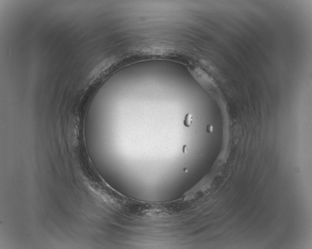 X0000077990544200611101731