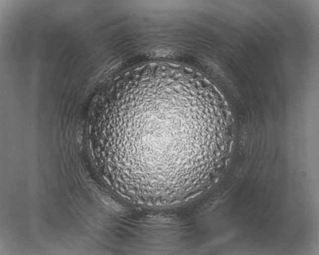 X0000077990545200611101731