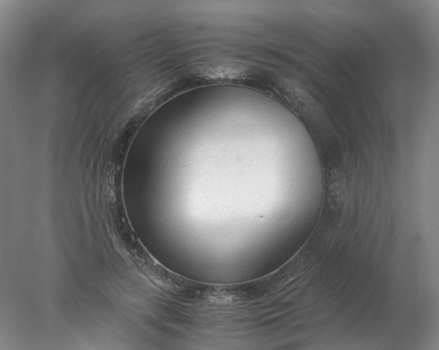 X0000077990547200611101731