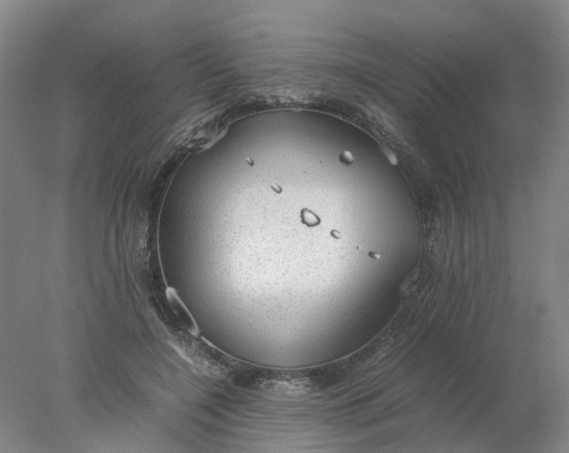 X0000077990548200611101731