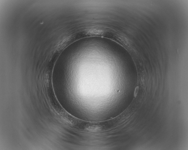 X0000077990551200611101731