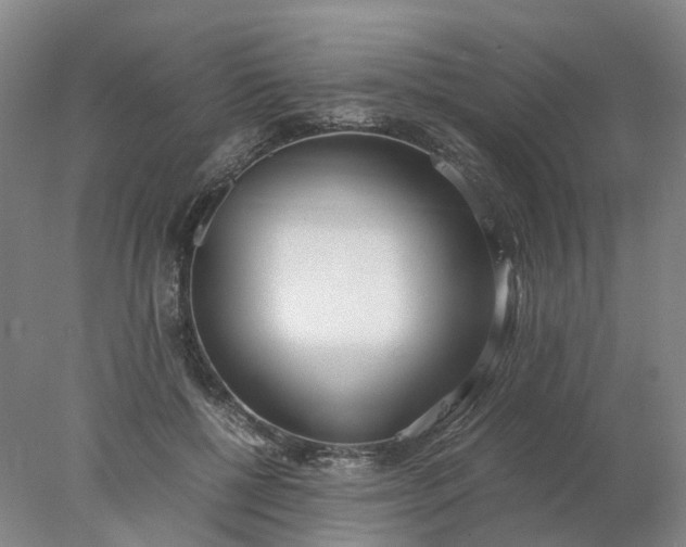 X0000077990552200611101731