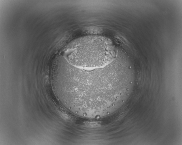 X0000077990553200611101731