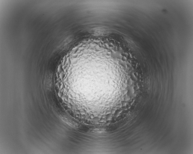 X0000077990554200611101731