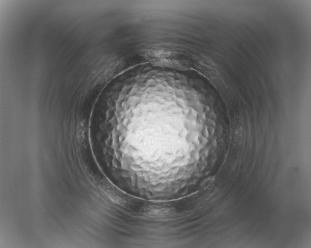 X0000077990555200611101731