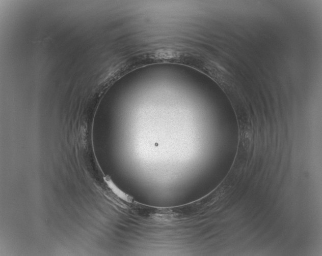 X0000077990556200611101731