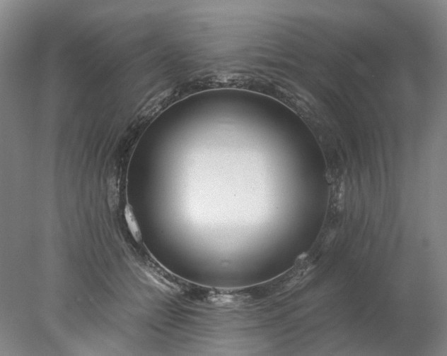 X0000077990558200611101731