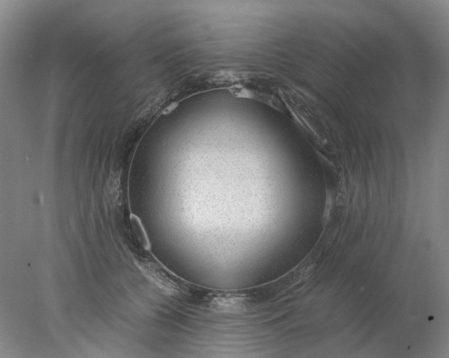 X0000077990560200611101731