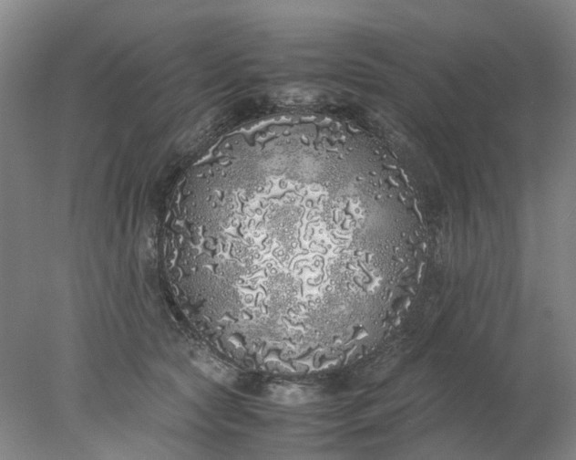 X0000077990561200611101731