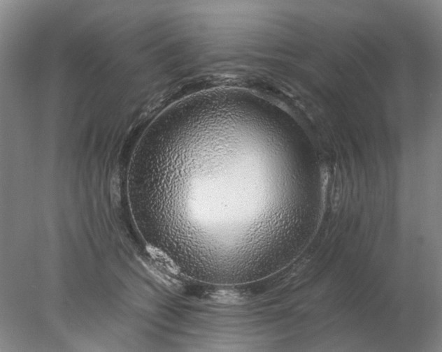 X0000077990562200611101731