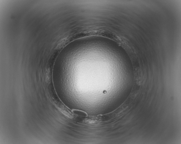 X0000077990563200611101731