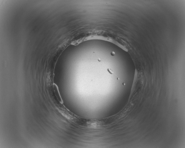 X0000077990564200611101731