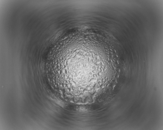 X0000077990565200611101731