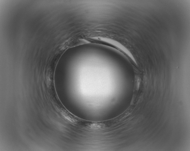 X0000077990566200611101731