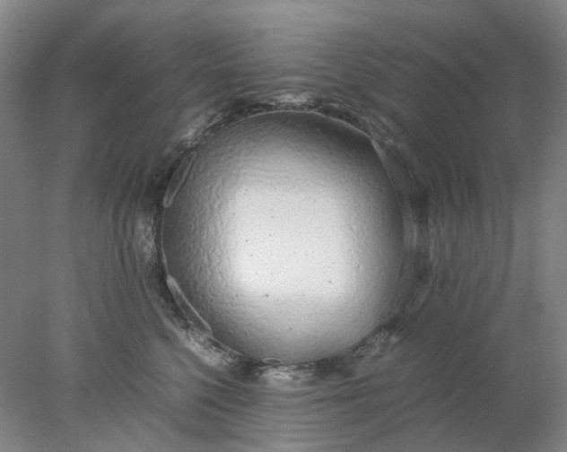 X0000077990568200611101731