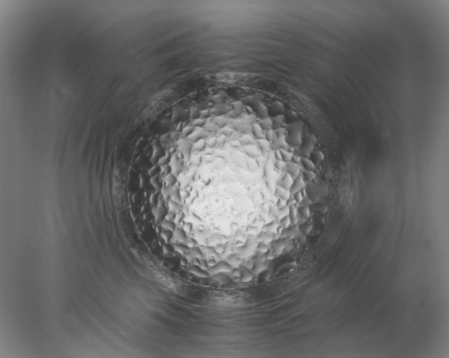 X0000077990569200611101731