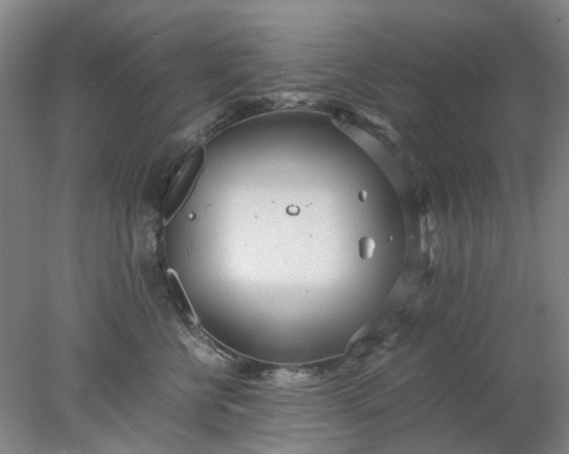 X0000077990570200611101731