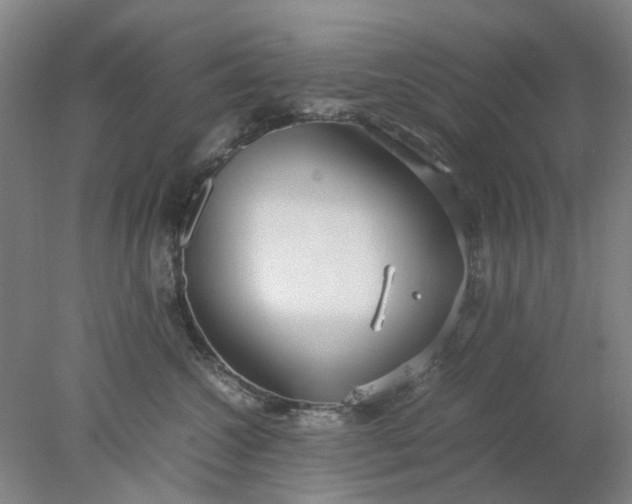 X0000077990572200611101731