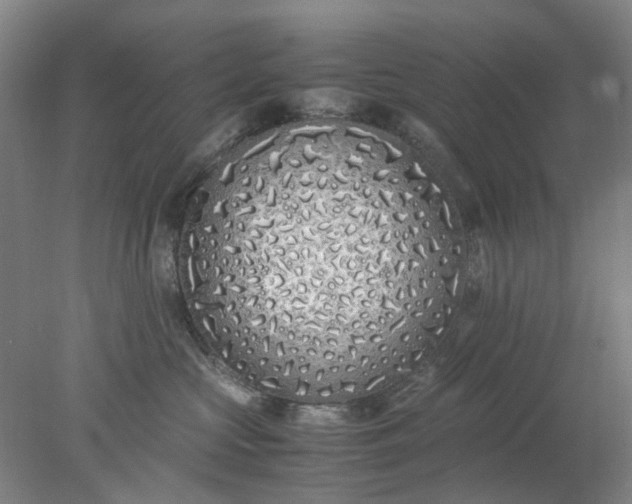 X0000077990573200611101731