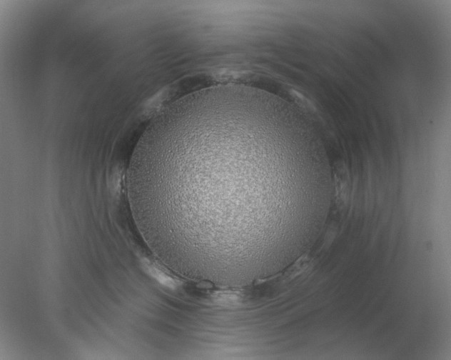 X0000077990574200611101731