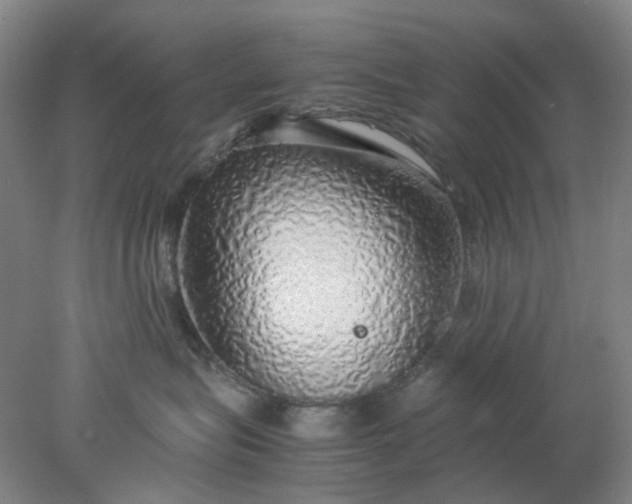 X0000077990575200611101731