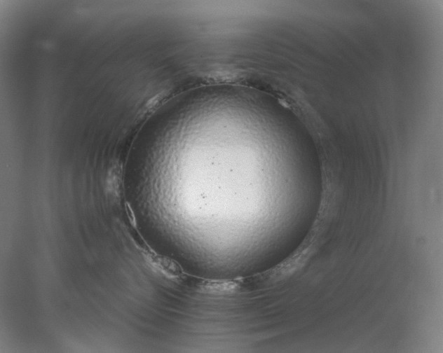 X0000077990576200611101731