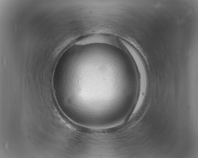 X0000077990577200611101731