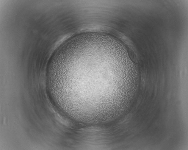 X0000077990578200611101730