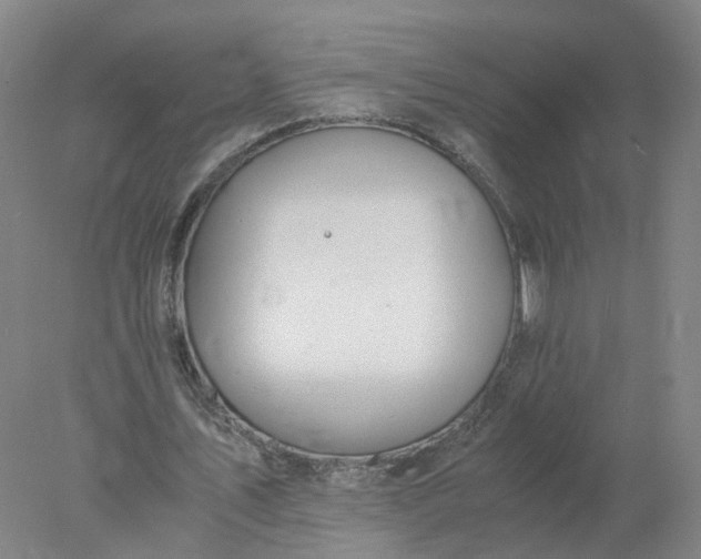 X0000077990579200611101730