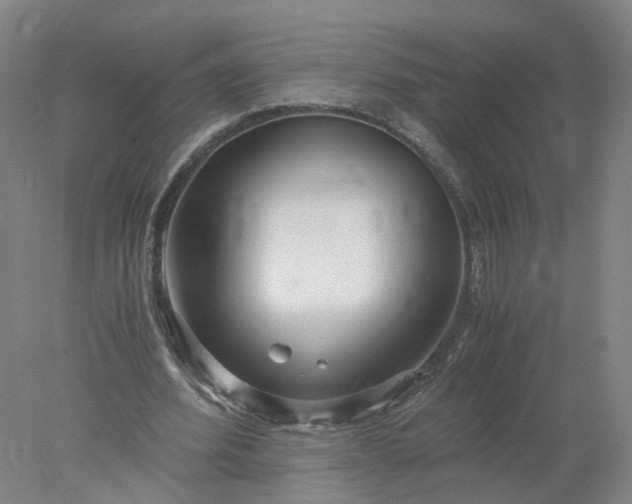 X0000077990580200611101730