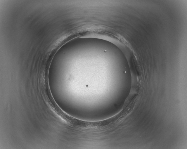 X0000077990581200611101730