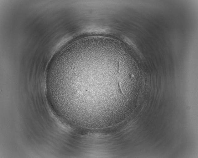 X0000077990582200611101730