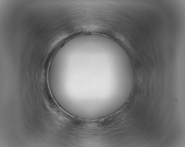 X0000077990583200611101730