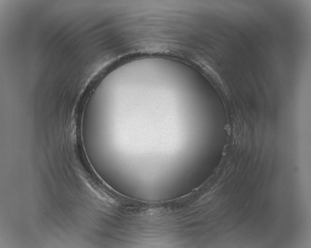 X0000077990584200611101730