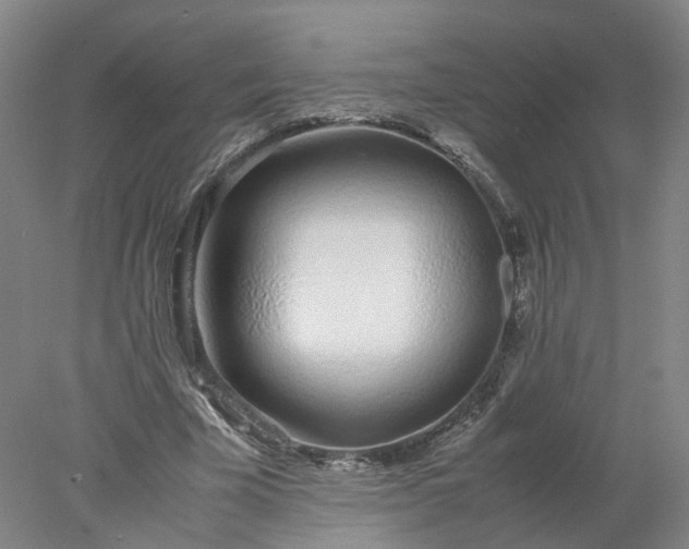 X0000077990585200611101730