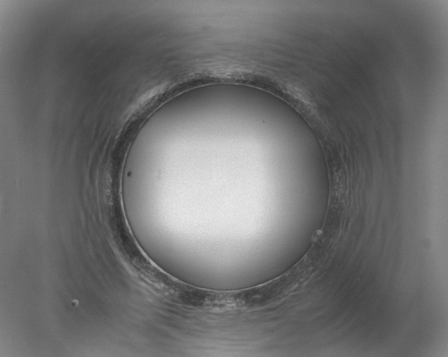 X0000077990587200611101730