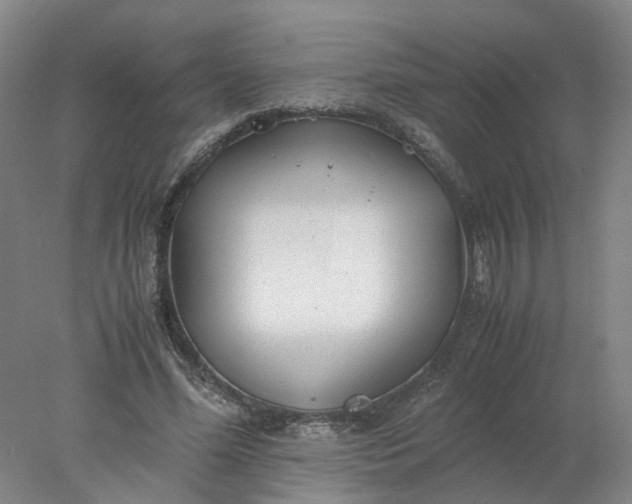 X0000077990588200611101730