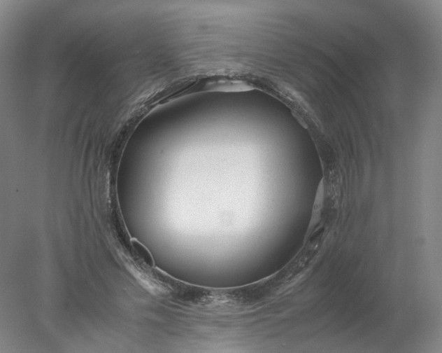 X0000077990589200611101730