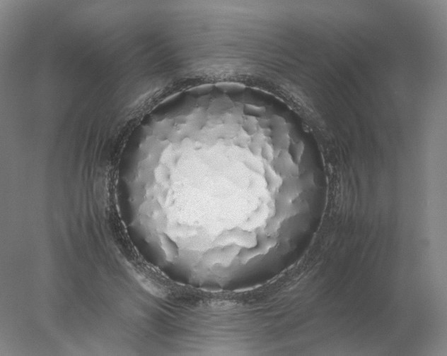 X0000077990590200611101730