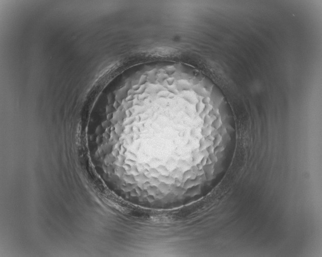 X0000077990591200611101730