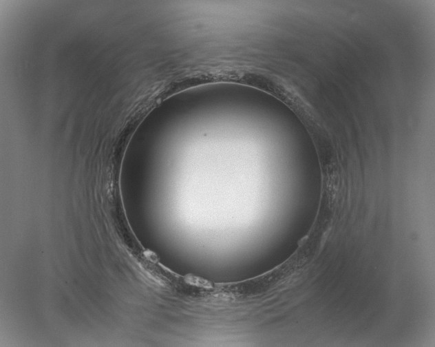 X0000077990593200611101730