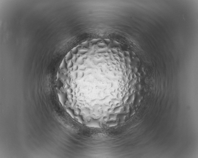 X0000077990594200611101730