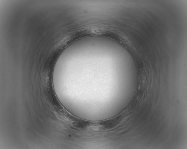 X0000077990595200611101730