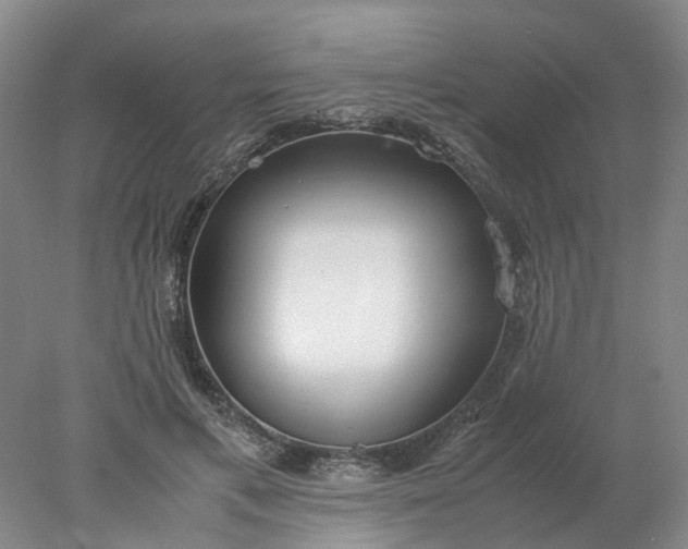 X0000077990597200611101730