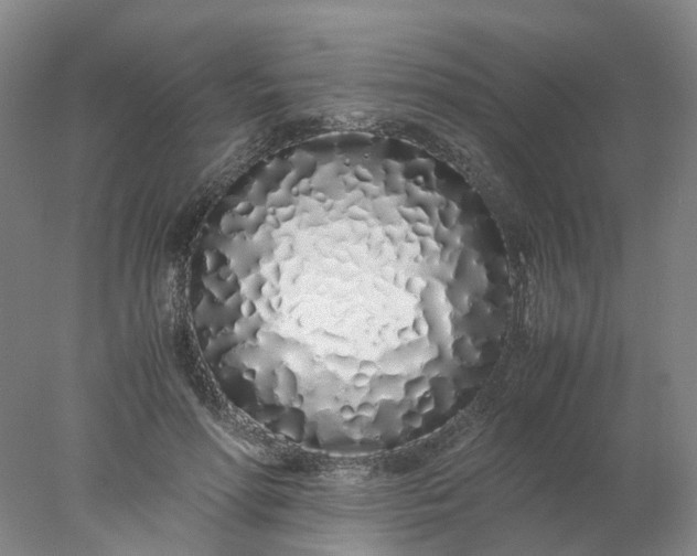 X0000077990598200611101730